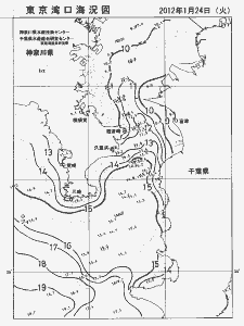 東京湾口海況図(2012/01/24)