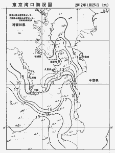 東京湾口海況図(2012/01/25)