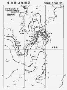 東京湾口海況図(2012/01/26)