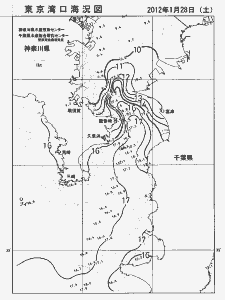 東京湾口海況図(2012/01/28)