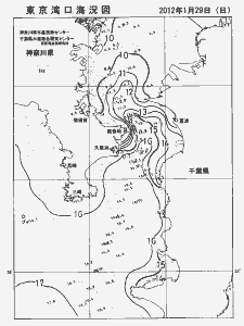 東京湾口海況図(2012/01/29)