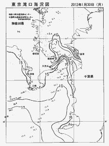 東京湾口海況図(2012/01/30)