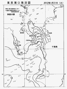 東京湾口海況図(2012/01/31)