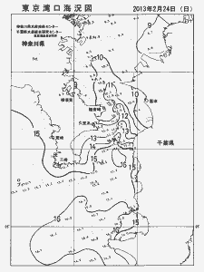 東京湾口海況図(2012/02/24)