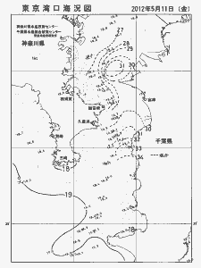 東京湾口海況図(2012/05/11)