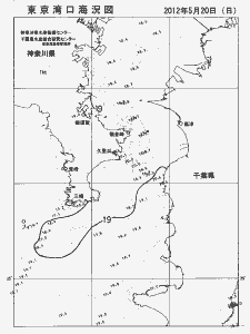 東京湾口海況図(2012/05/20)