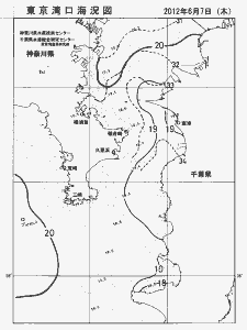 東京湾口海況図(2012/06/07)