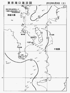 東京湾口海況図(2012/06/09)