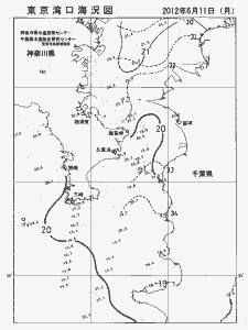 東京湾口海況図(2012/06/11)