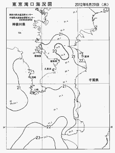 東京湾口海況図(2012/06/20)