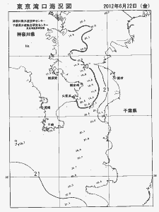 東京湾口海況図(2012/06/22)