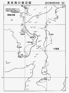東京湾口海況図(2012/06/24)