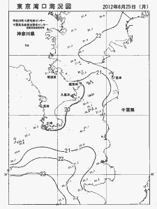 東京湾口海況図(2012/06/25)