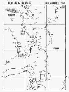 東京湾口海況図(2012/06/26)