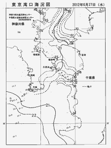 東京湾口海況図(2012/06/27)