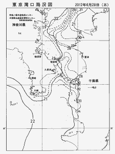 東京湾口海況図(2012/06/28)