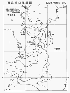 東京湾口海況図(2012/07/19)