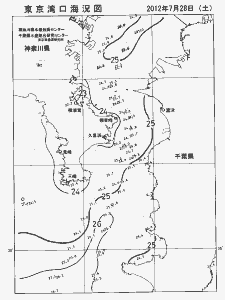 東京湾口海況図(2012/07/28)