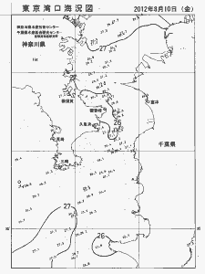 東京湾口海況図(2012/08/10)