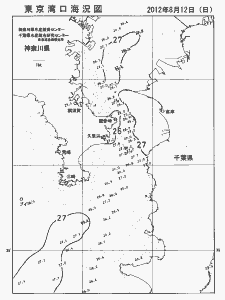 東京湾口海況図(2012/08/12)