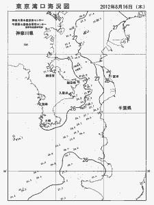 東京湾口海況図(2012/08/16)