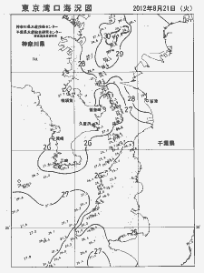 東京湾口海況図(2012/08/21)