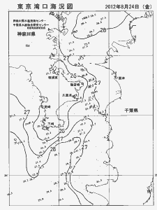 東京湾口海況図(2012/08/24)