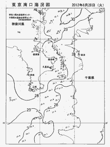 東京湾口海況図(2012/08/28)
