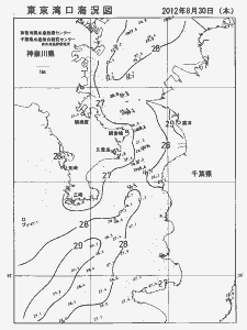 東京湾口海況図(2012/08/30)