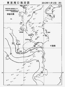 東京湾口海況図(2012/11/12)