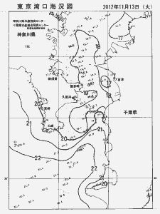東京湾口海況図(2012/11/13)