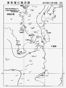 東京湾口海況図(2012/11/19)