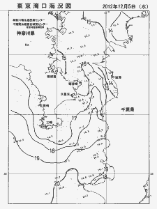 東京湾口海況図(2012/12/05)