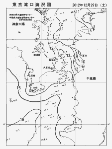 東京湾口海況図(2012/12/29)