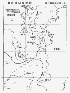 東京湾口海況図(2012/12/31)