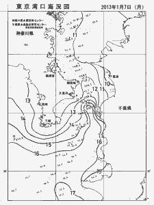東京湾口海況図(2013/01/07)