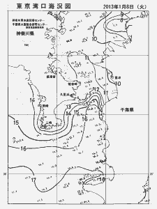 東京湾口海況図(2013/01/08)
