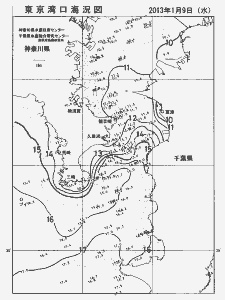 東京湾口海況図(2013/01/09)