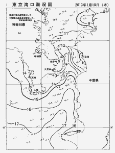 東京湾口海況図(2013/01/10)