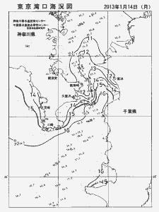 東京湾口海況図(2013/01/14)