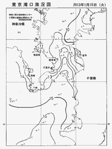 東京湾口海況図(2013/01/15)
