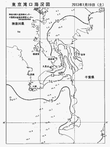 東京湾口海況図(2013/01/19)