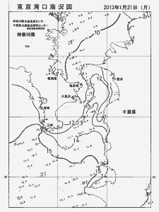 東京湾口海況図(2013/01/21)