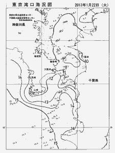 東京湾口海況図(2013/01/22)