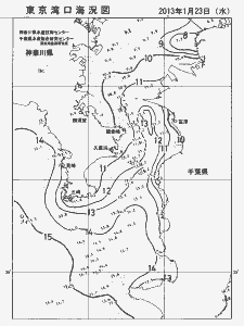 東京湾口海況図(2013/01/23)