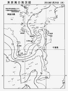 東京湾口海況図(2013/01/24)