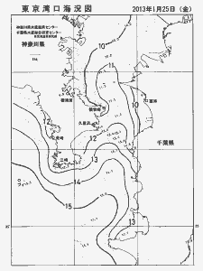東京湾口海況図(2013/01/25)