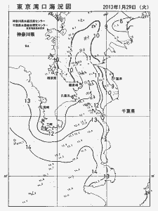 東京湾口海況図(2013/01/29)