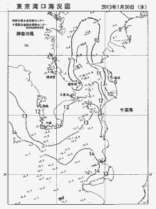 東京湾口海況図(2013/01/30)