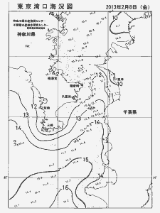 東京湾口海況図(2013/02/08)